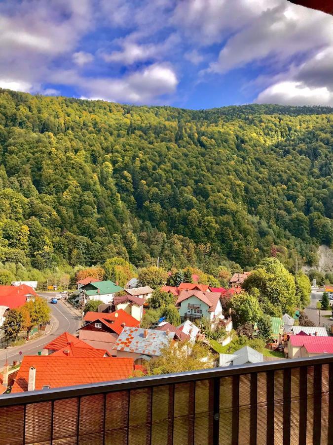 Amazing Brownie By Miro Apartment Sinaia Exterior foto