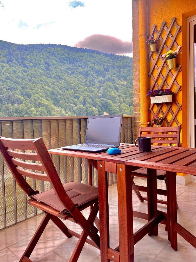 Amazing Brownie By Miro Apartment Sinaia Exterior foto