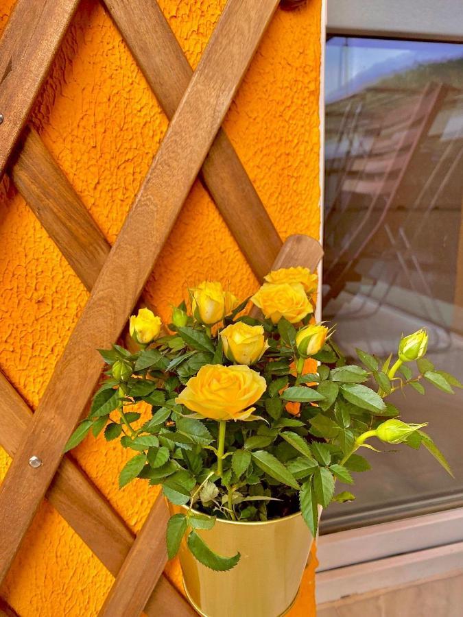 Amazing Brownie By Miro Apartment Sinaia Exterior foto